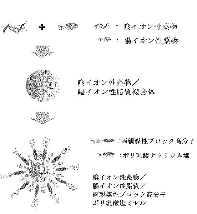 6599560-陰イオン性薬物を含有する高分子ミセルの製造方法 図000037