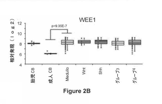 6692423-Ｗｅｅ１キナーゼ阻害剤、並びにそれを作製及び使用する方法 図000037