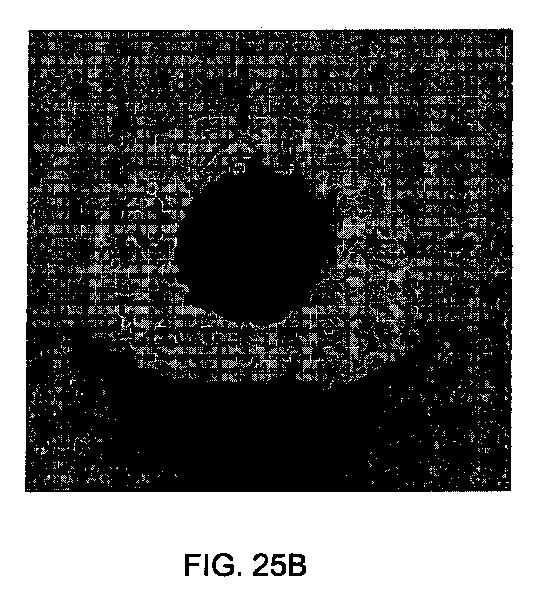 5726536-多孔質生体適合性ポリマー材料および方法 図000038