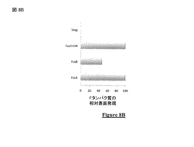 5823296-ＰＩＶ−５及びＰＩＶ−２のＦタンパク質の突然変異タンパク質 図000038