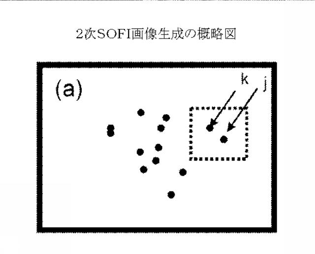 5856252-超解像光ゆらぎイメージング（ＳＯＦＩ） 図000038