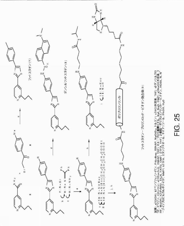 5878937-代謝障害を処置するための組成物および方法 図000038