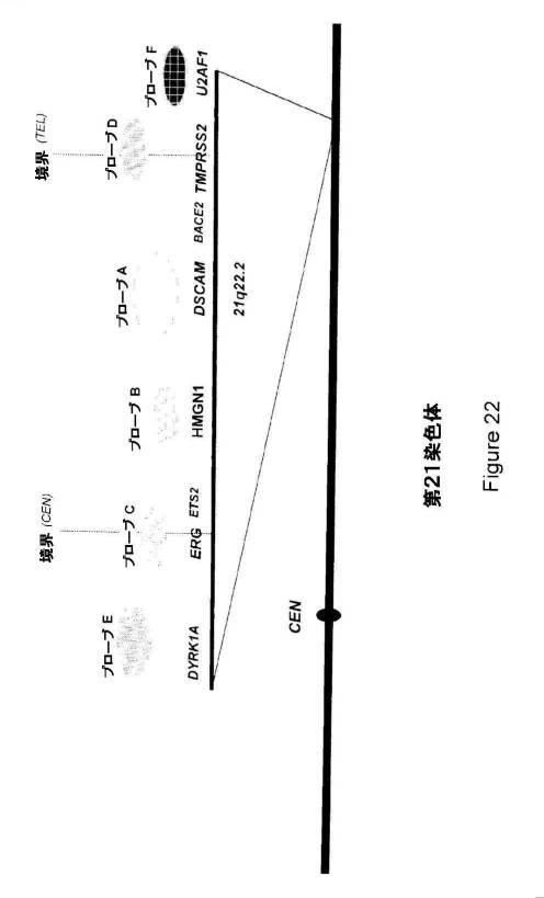 5976550-蛍光ｉｎｓｉｔｕハイブリダイゼーションによる癌抑制遺伝子の欠失を検出するための方法、プローブセットおよびキット 図000038