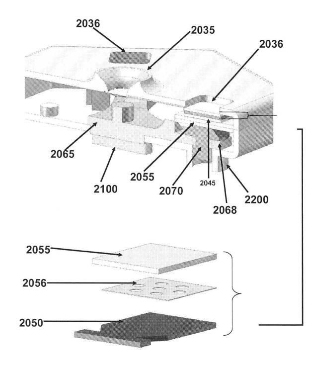 6190395-単一信号で複数被検体を検出する方法及び組成物 図000038