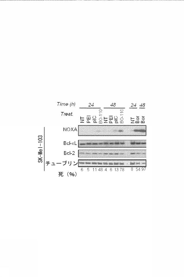 6222749-医薬組成物及びその使用 図000038