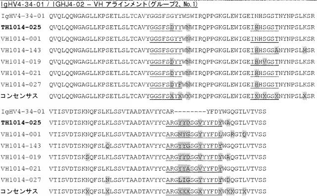 6341963-ＨＥＲ２に対するモノクローナル抗体 図000038