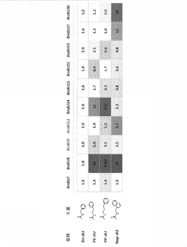 6591392-ＩＬ−６に結合するアプタマー及びＩＬ−６介在性状態の治療または診断におけるそれらの使用 図000038