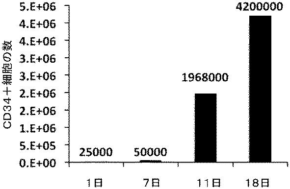 6647334-成体幹細胞のインビトロでの増殖 図000038