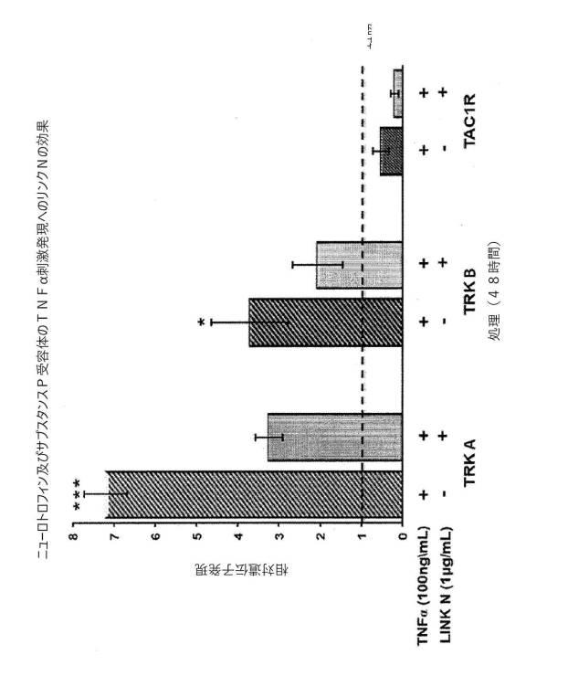 6700182-軟骨及び椎間板組織病理の治療のためのポリペプチド及び組成物 図000038