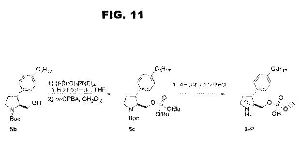 6853539-合成スフィンゴ脂質様分子、薬物、これらの合成方法、および処置方法 図000038