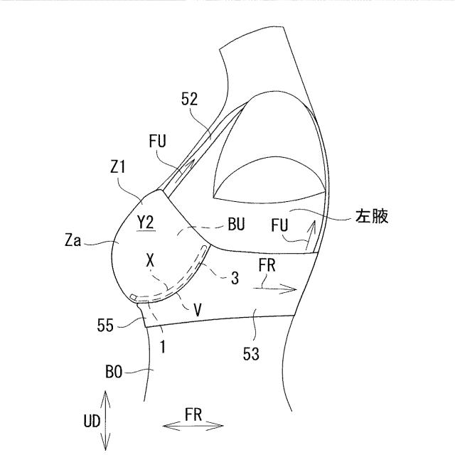 6874237-カップ部用樹脂ワイヤー、及びカップ部付き衣類 図000038