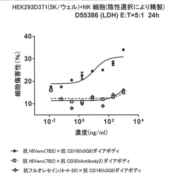 6979447-二重特異性ダイアボディ分子、薬学的組成物及びそれらの使用 図000038