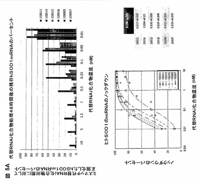 5697993-修飾ＲＮＡｉポリヌクレオチドおよびその使用 図000039