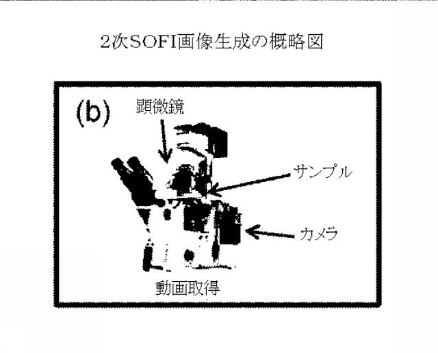 5856252-超解像光ゆらぎイメージング（ＳＯＦＩ） 図000039