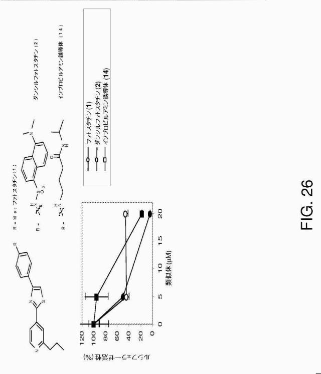 5878937-代謝障害を処置するための組成物および方法 図000039