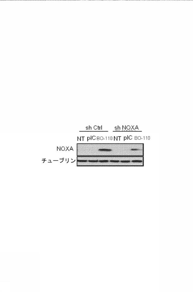 6222749-医薬組成物及びその使用 図000039