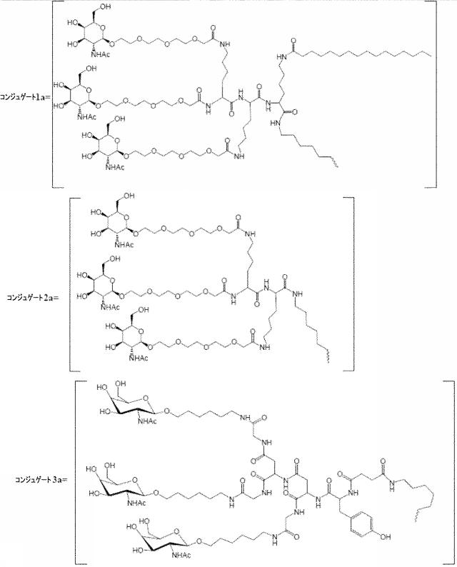 6255092-ＰＣＳＫ９を標的とするアンチセンスオリゴマーおよびコンジュゲート 図000039