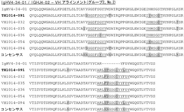 6341963-ＨＥＲ２に対するモノクローナル抗体 図000039