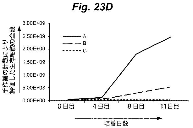 6386447-養子細胞療法のための改良された細胞培養法 図000039