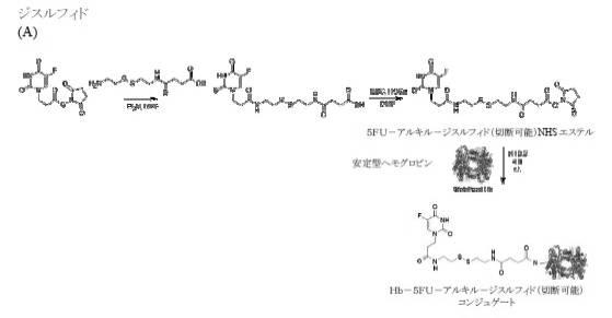 6392855-がん治療および診断イメージングのための修飾ヘモグロビンベース系治療剤を含む医薬組成物 図000039