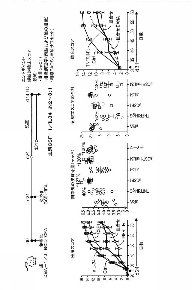 6416630-ＣＳＦ１Ｒ阻害剤を用いるための組成物及び方法 図000039