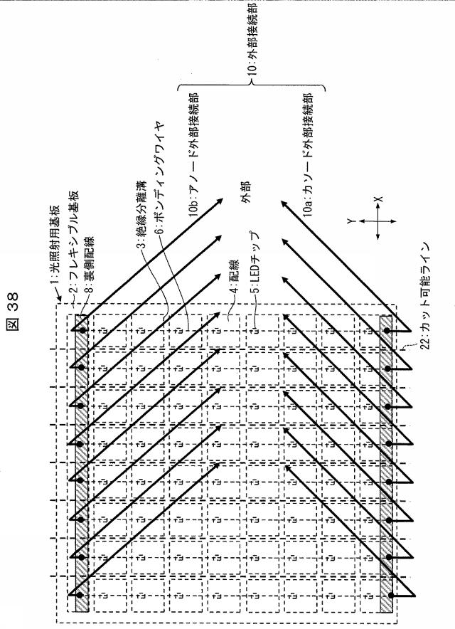 6445187-光照射装置および光治療器 図000039