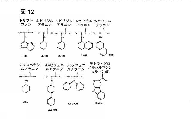 6568161-構造化ポリペプチドの特異性のモジュレーション 図000039