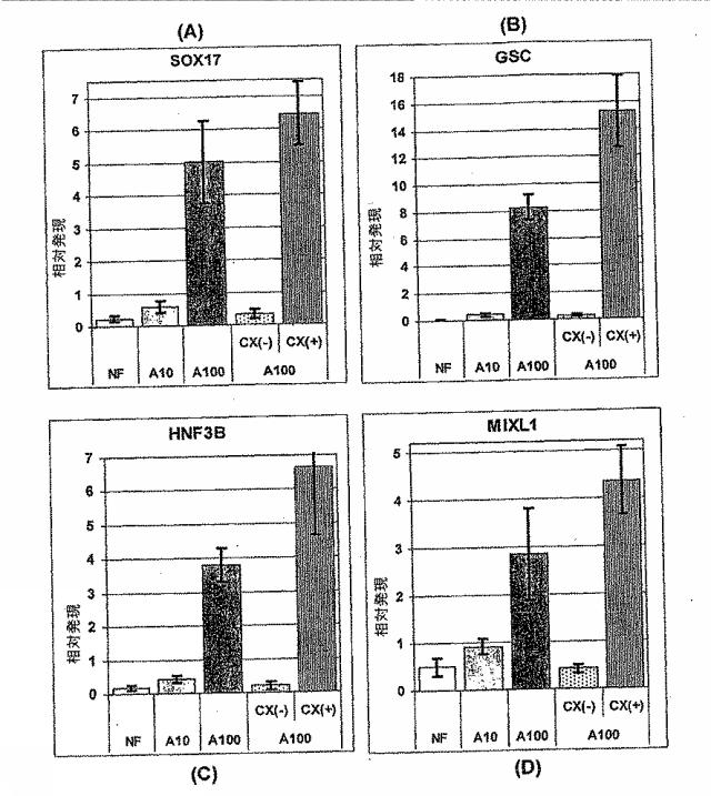 6595041-ＰＤＸ１発現背側及び腹側前腸内胚葉 図000039