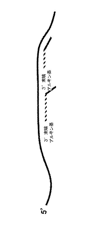 6910295-診断治療融合的な応用のための方法及びキット 図000039