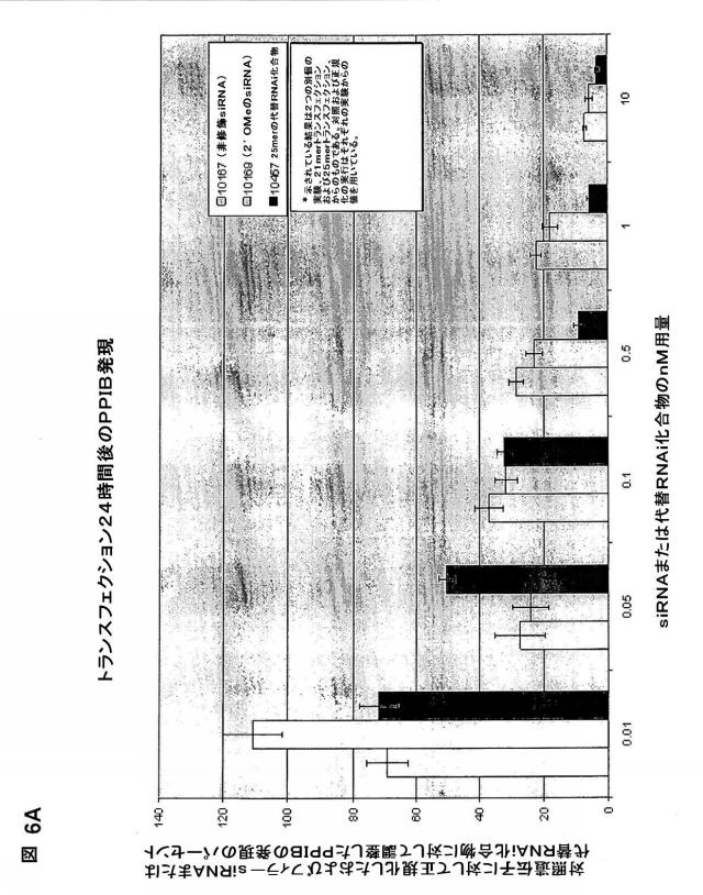 5697993-修飾ＲＮＡｉポリヌクレオチドおよびその使用 図000040