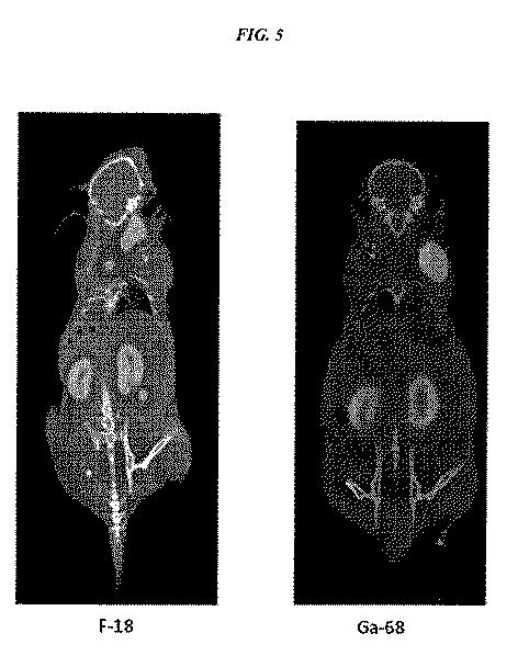 5789821-タンパク質、ペプチドおよび他の分子の改善されたＦ−１８標識化のための方法および組成物 図000040