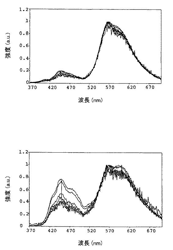 5836894-溶液処理可能な燐光物質の製造方法 図000040