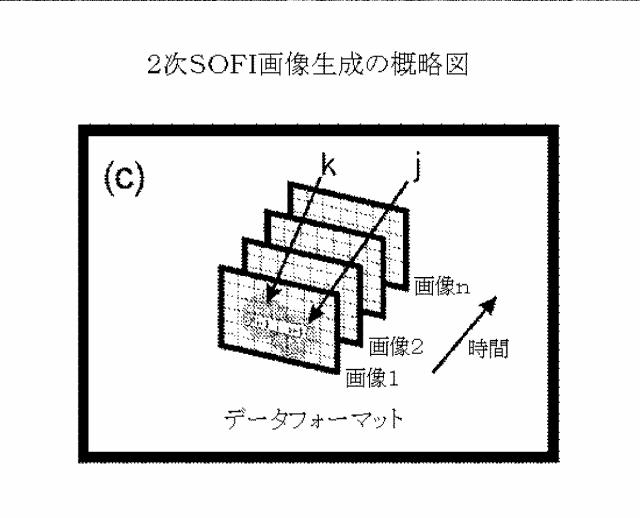 5856252-超解像光ゆらぎイメージング（ＳＯＦＩ） 図000040