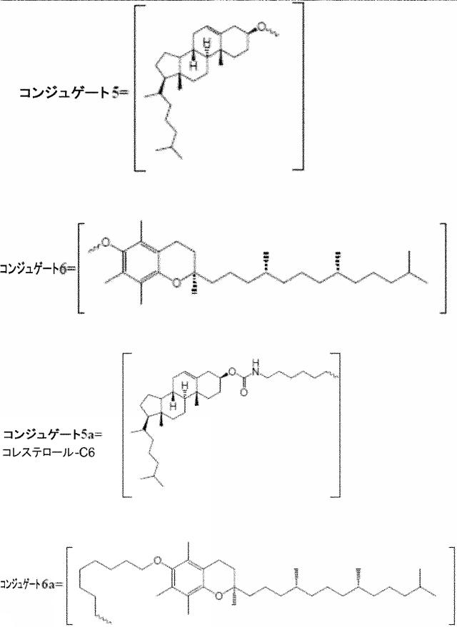 6255092-ＰＣＳＫ９を標的とするアンチセンスオリゴマーおよびコンジュゲート 図000040