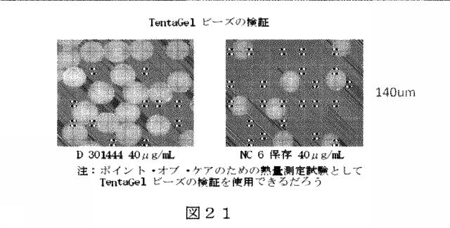 6412798-リガンドライブラリーを用いた診断および処置方法 図000040