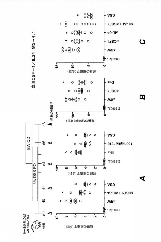 6416630-ＣＳＦ１Ｒ阻害剤を用いるための組成物及び方法 図000040