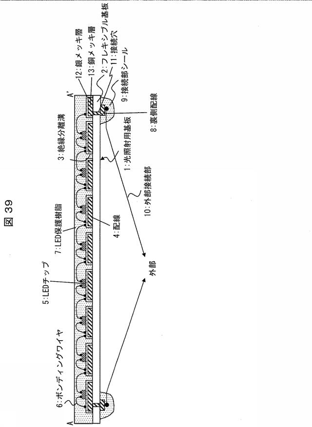 6445187-光照射装置および光治療器 図000040
