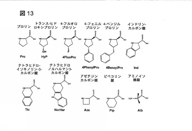 6568161-構造化ポリペプチドの特異性のモジュレーション 図000040