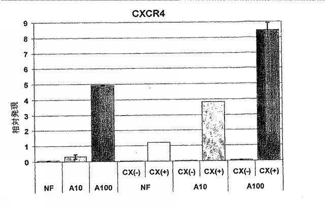 6595041-ＰＤＸ１発現背側及び腹側前腸内胚葉 図000040