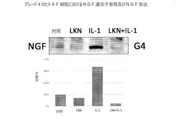 6700182-軟骨及び椎間板組織病理の治療のためのポリペプチド及び組成物 図000040