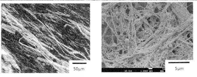 6775160-疎水化セルロース系繊維用の解繊助剤、それを使用する樹脂組成物の製造方法並びに成形体 図000040