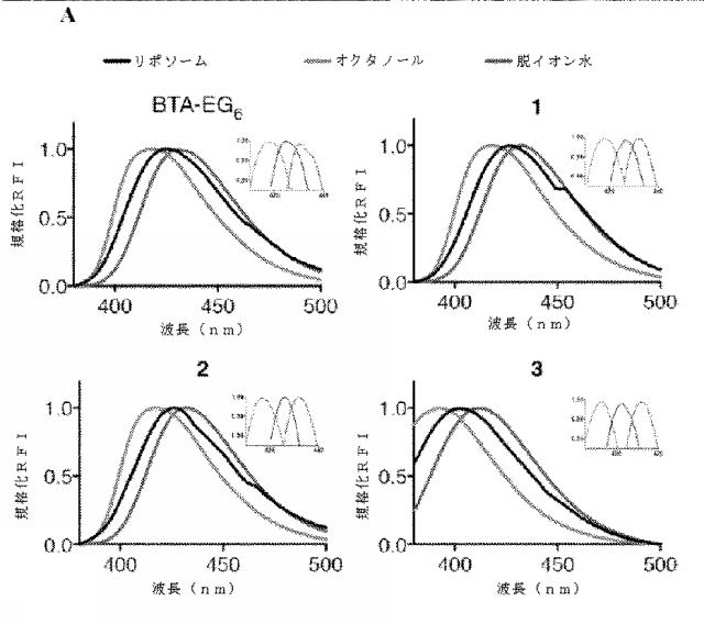 6931002-ベンゾチアゾール両親媒性物質 図000040