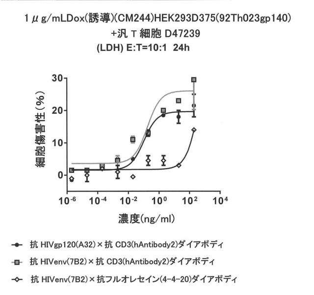 6979447-二重特異性ダイアボディ分子、薬学的組成物及びそれらの使用 図000040