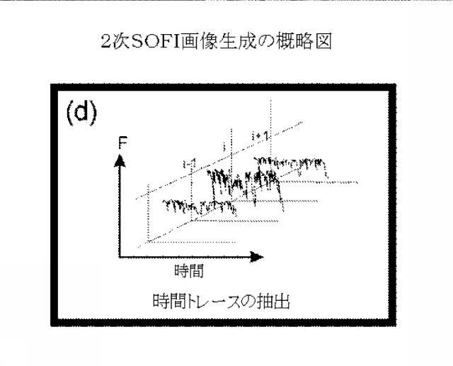 5856252-超解像光ゆらぎイメージング（ＳＯＦＩ） 図000041