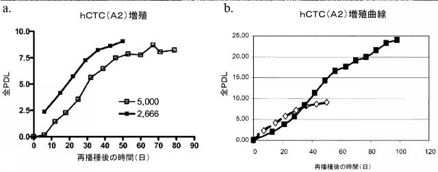 5894071-心臓組織由来細胞 図000041