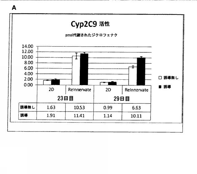 6025715-多能性幹細胞の肝細胞への分化を向上する三次元スキャホールド 図000041