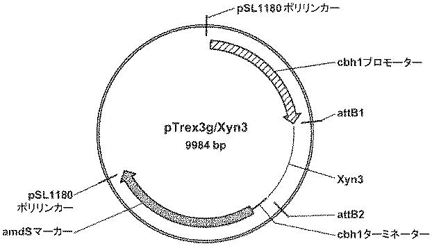 6290626-糖化プロセスにおける粘度を低下させる方法 図000041