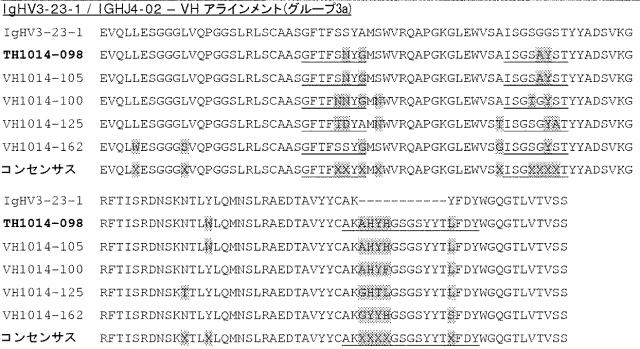 6341963-ＨＥＲ２に対するモノクローナル抗体 図000041