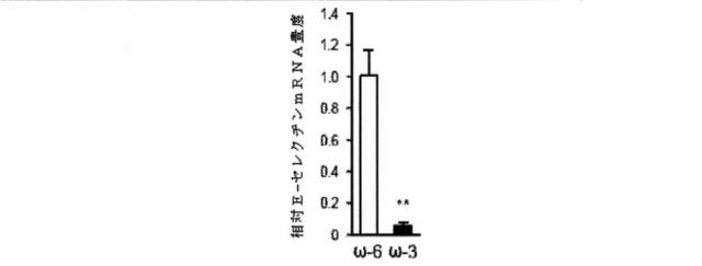 6526570-炎症及び血管形成を減少させるＣＹＰ４５０脂質メタボライト 図000041