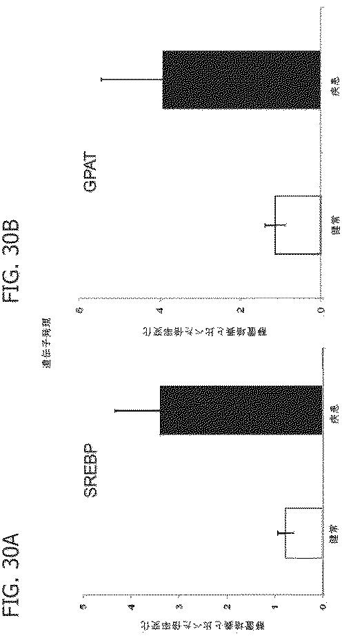 6684706-腫瘍微細環境のための試験管内モデル 図000041